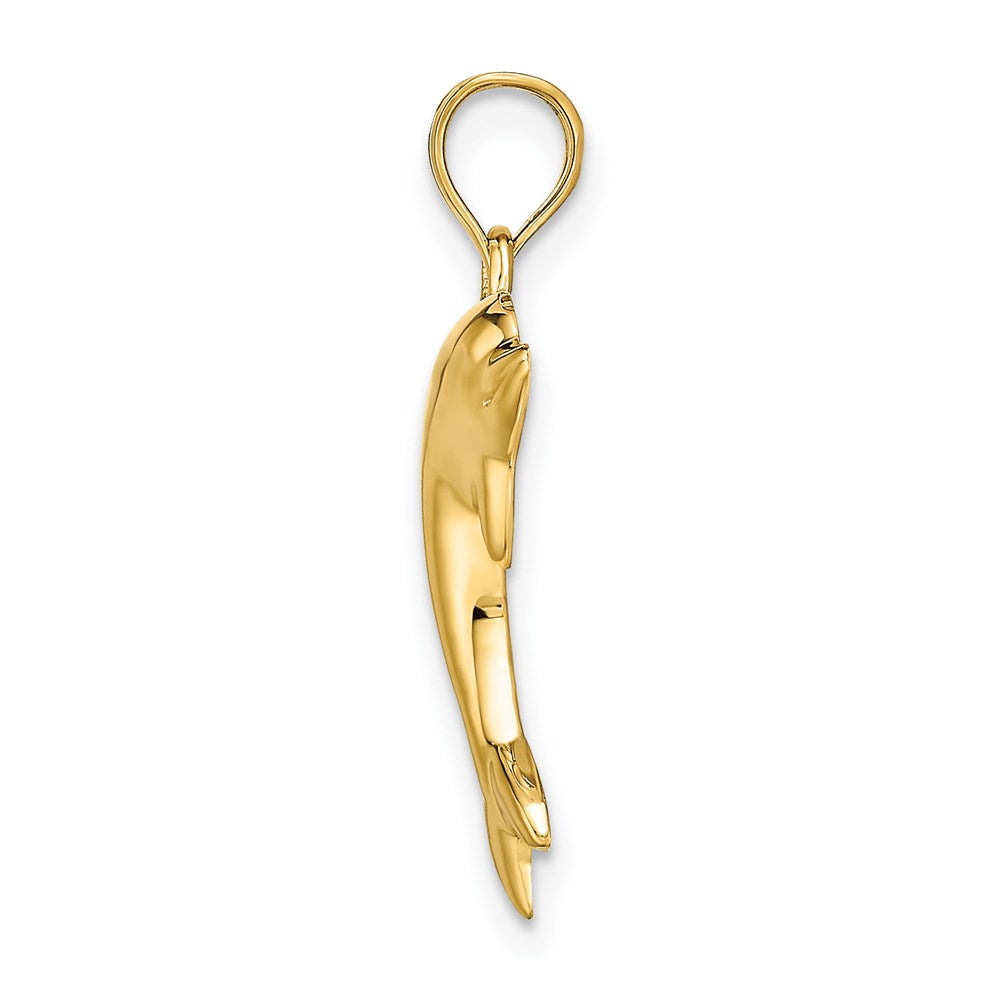Alternate view of the 14k Yellow Gold Polished Dolphin Pendant by The Black Bow Jewelry Co.