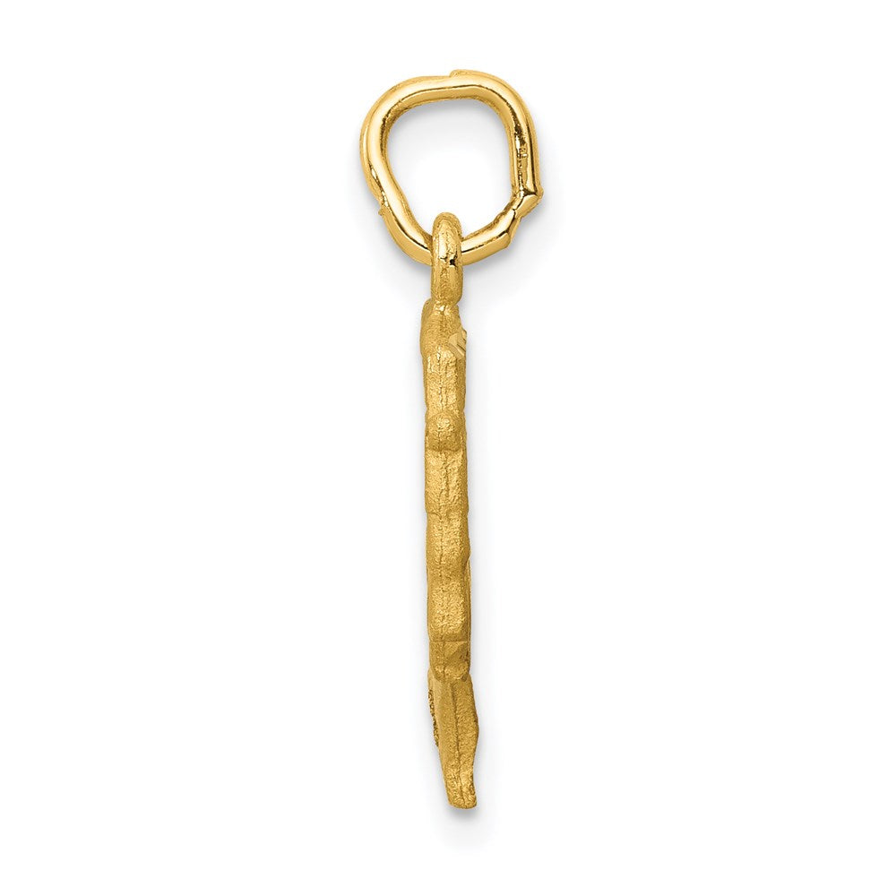 Alternate view of the 14k Yellow Gold Satin Egyptian Nefertiti Charm Pendant by The Black Bow Jewelry Co.