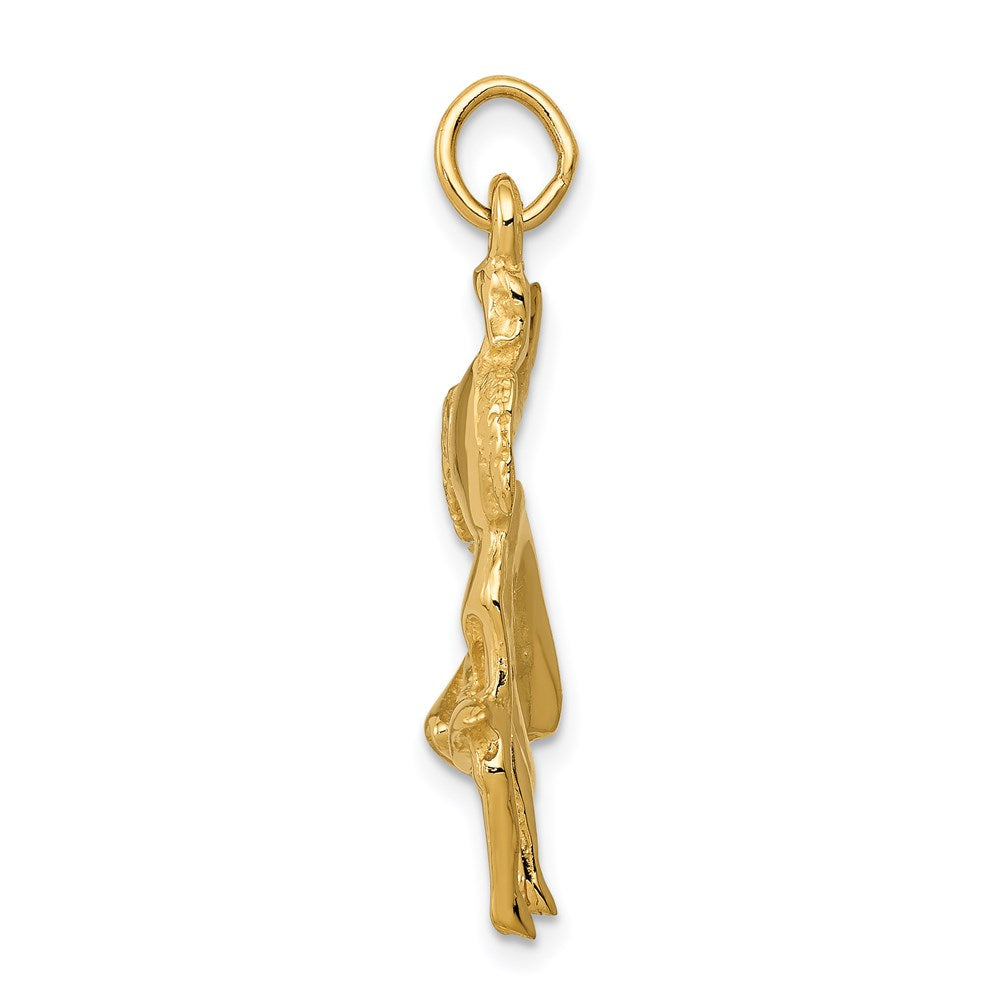 Alternate view of the 14k Yellow Gold Matador Charm by The Black Bow Jewelry Co.