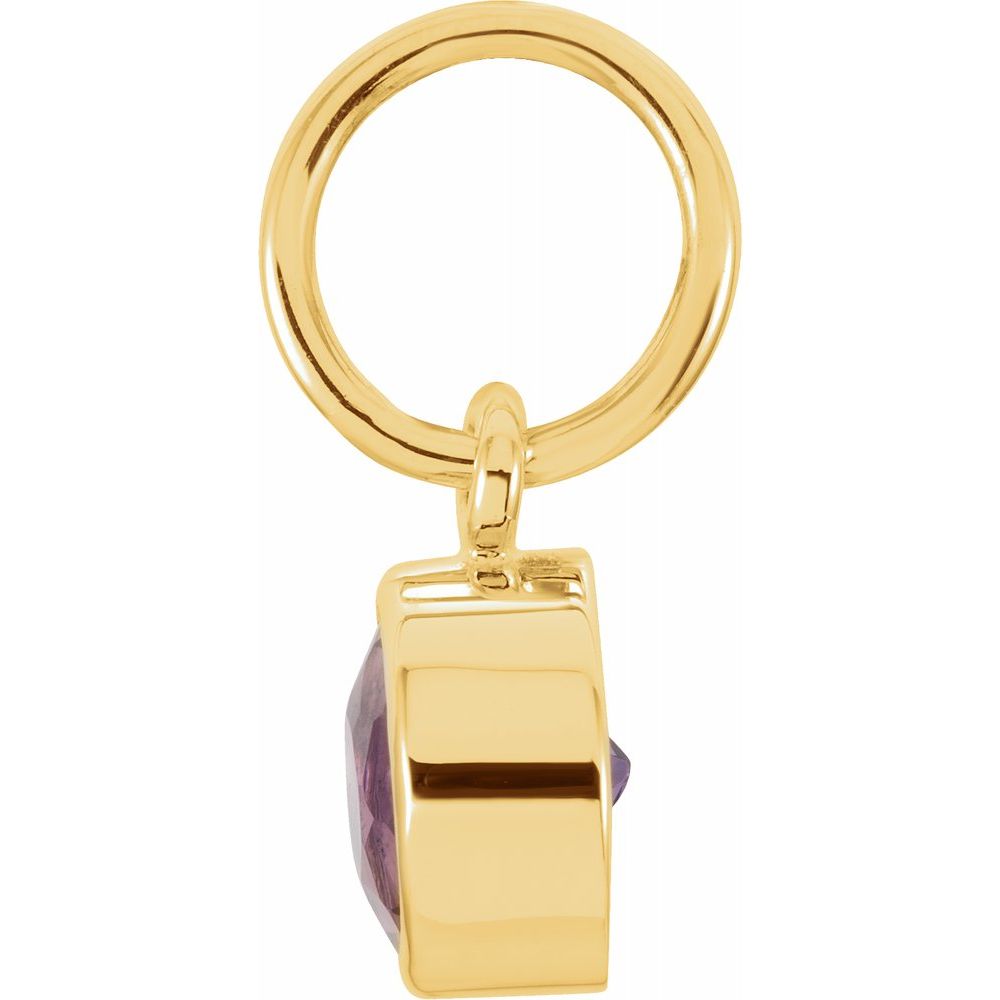 Alternate view of the 14k Yellow Gold 4mm Imitation Amethyst Charm or Pendant Enhancer by The Black Bow Jewelry Co.
