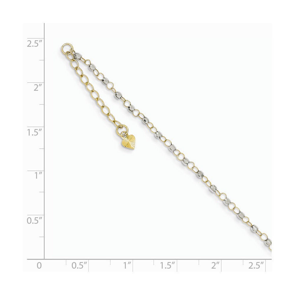 Alternate view of the 14k Two-Tone Gold Circle and Bead Chain Adjustable Anklet, 9 Inch by The Black Bow Jewelry Co.