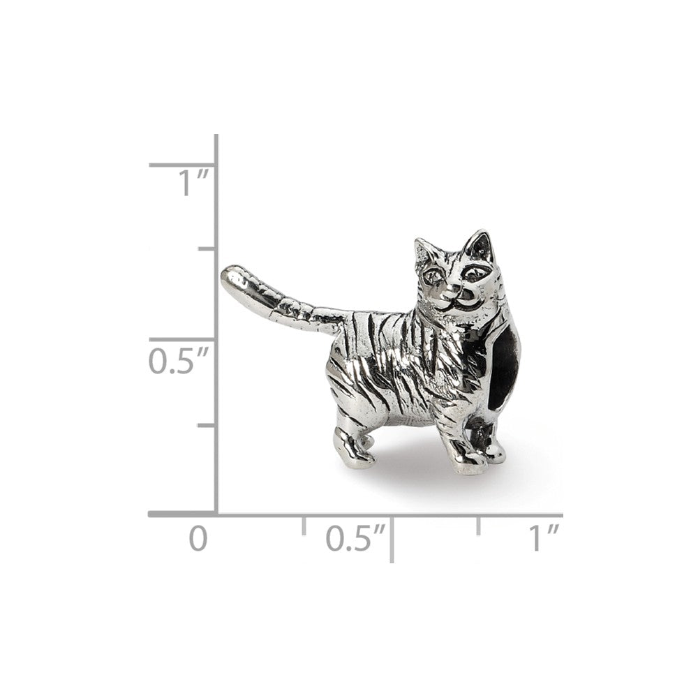 Alternate view of the Sterling Silver American Shorthair Cat Bead Charm by The Black Bow Jewelry Co.