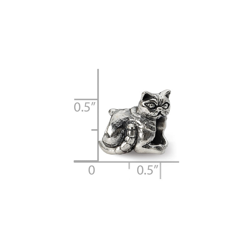 Alternate view of the Sterling Silver Exotic Shorthair Cat Bead Charm by The Black Bow Jewelry Co.