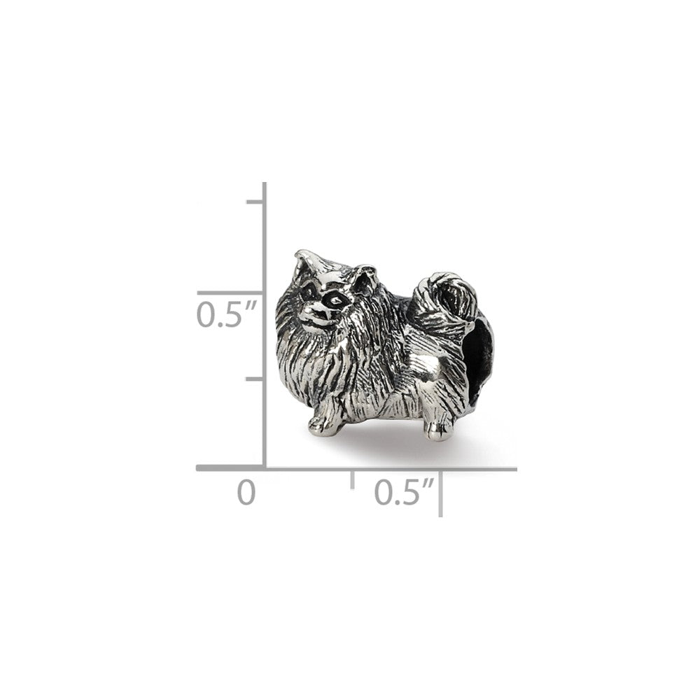 Alternate view of the Sterling Silver Pomeranian Bead Charm by The Black Bow Jewelry Co.