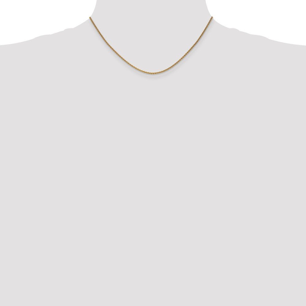 Alternate view of the 1.65mm 10k Yellow Gold Solid Spiga Chain Necklace by The Black Bow Jewelry Co.