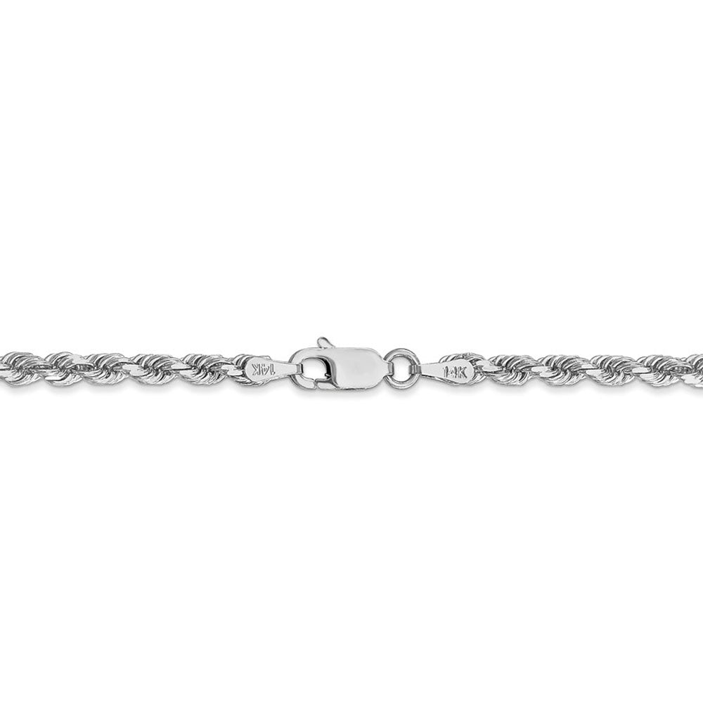 Alternate view of the 3.25mm 14K White Gold Diamond Cut Solid Rope Chain Necklace by The Black Bow Jewelry Co.