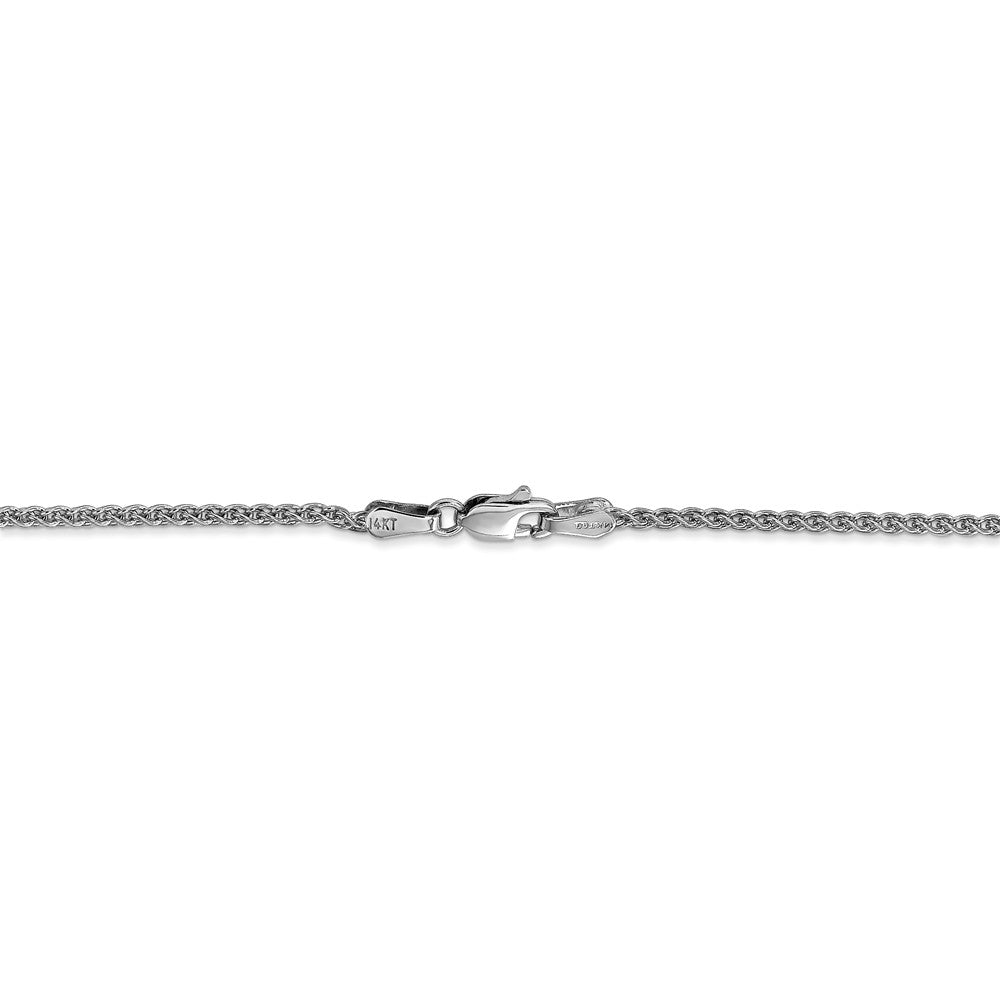 Alternate view of the 1.65mm, 14k White Gold, Solid Spiga Chain Bracelet by The Black Bow Jewelry Co.