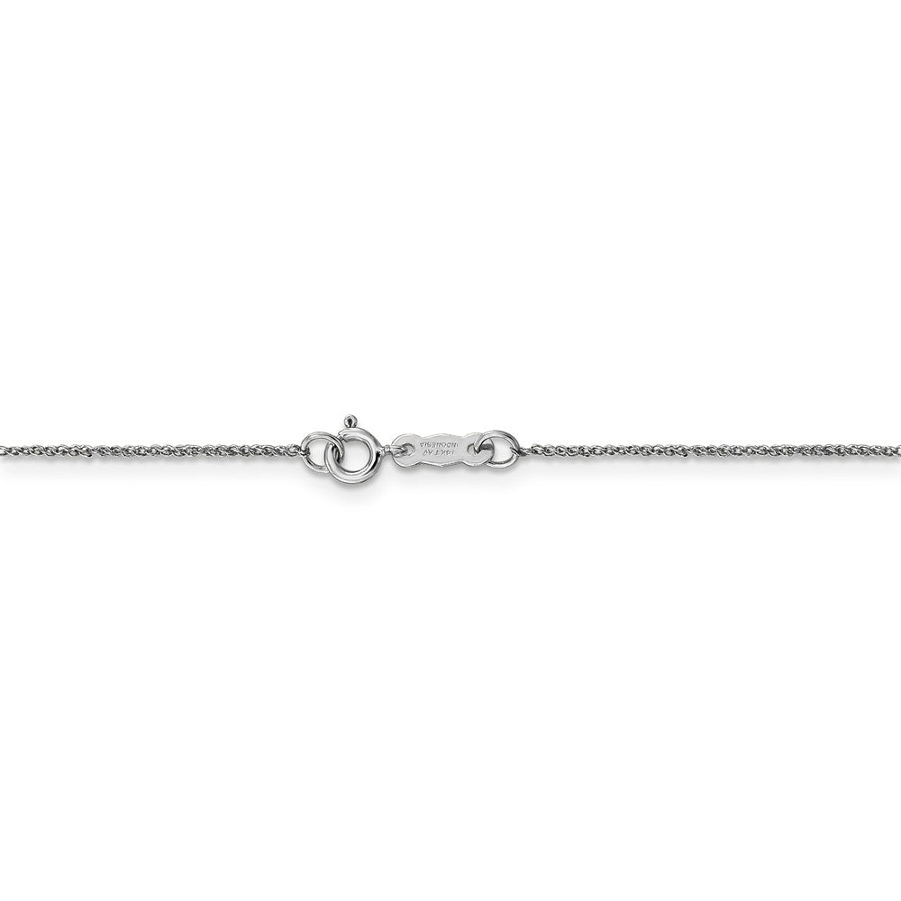 Alternate view of the 0.7mm, 14k White Gold, Ropa Chain Necklace by The Black Bow Jewelry Co.