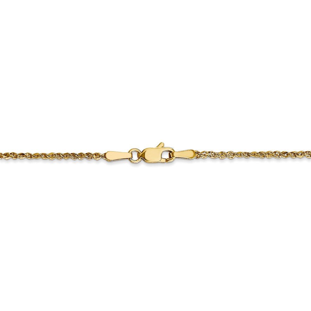 Alternate view of the 1.7mm, 14k Yellow Gold, Ropa Chain Necklace by The Black Bow Jewelry Co.