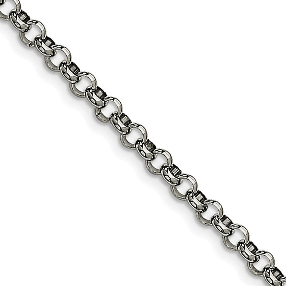 Men's 4.6mm Stainless Steel Polished Rolo Chain Necklace - The