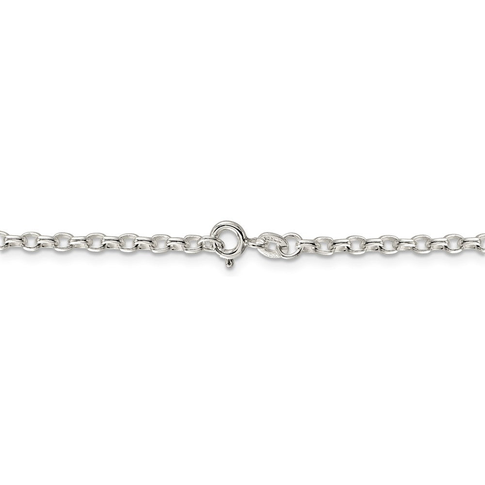 Alternate view of the 2.75mm Sterling Silver Solid Oval Rolo Chain Necklace by The Black Bow Jewelry Co.