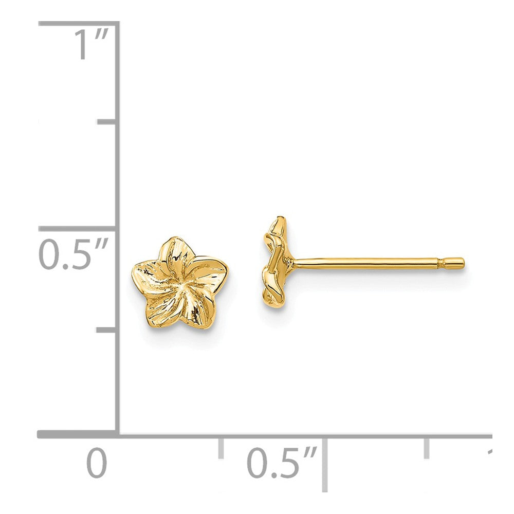 Alternate view of the 6mm Plumeria Flower Post Earrings in 14k Yellow Gold by The Black Bow Jewelry Co.