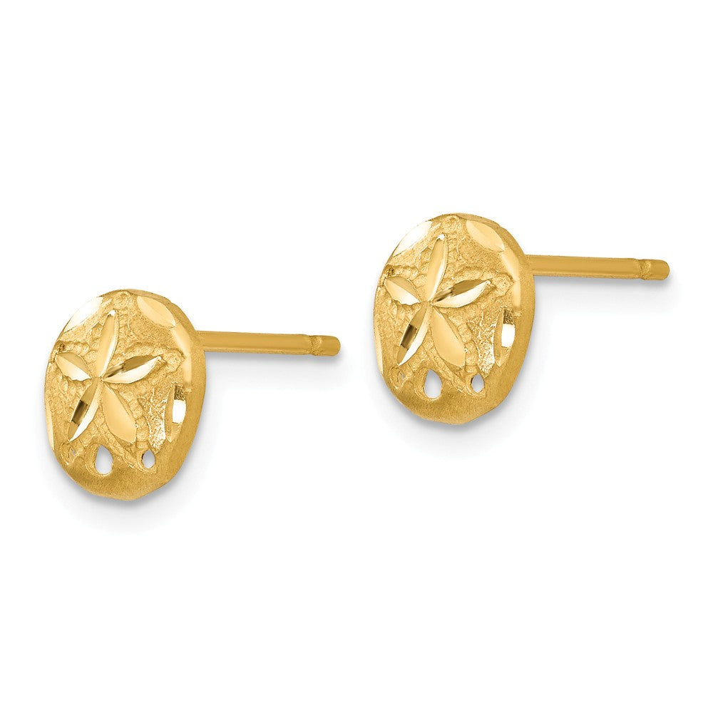 Alternate view of the 7mm Polished and Satin Sand Dollar Post Earrings in 14k Yellow Gold by The Black Bow Jewelry Co.