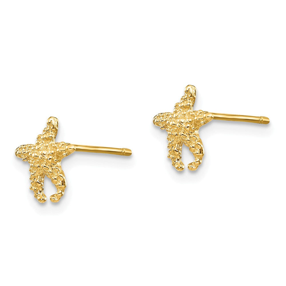 Alternate view of the 8mm Textured Starfish Post Earrings in 14k Yellow Gold by The Black Bow Jewelry Co.