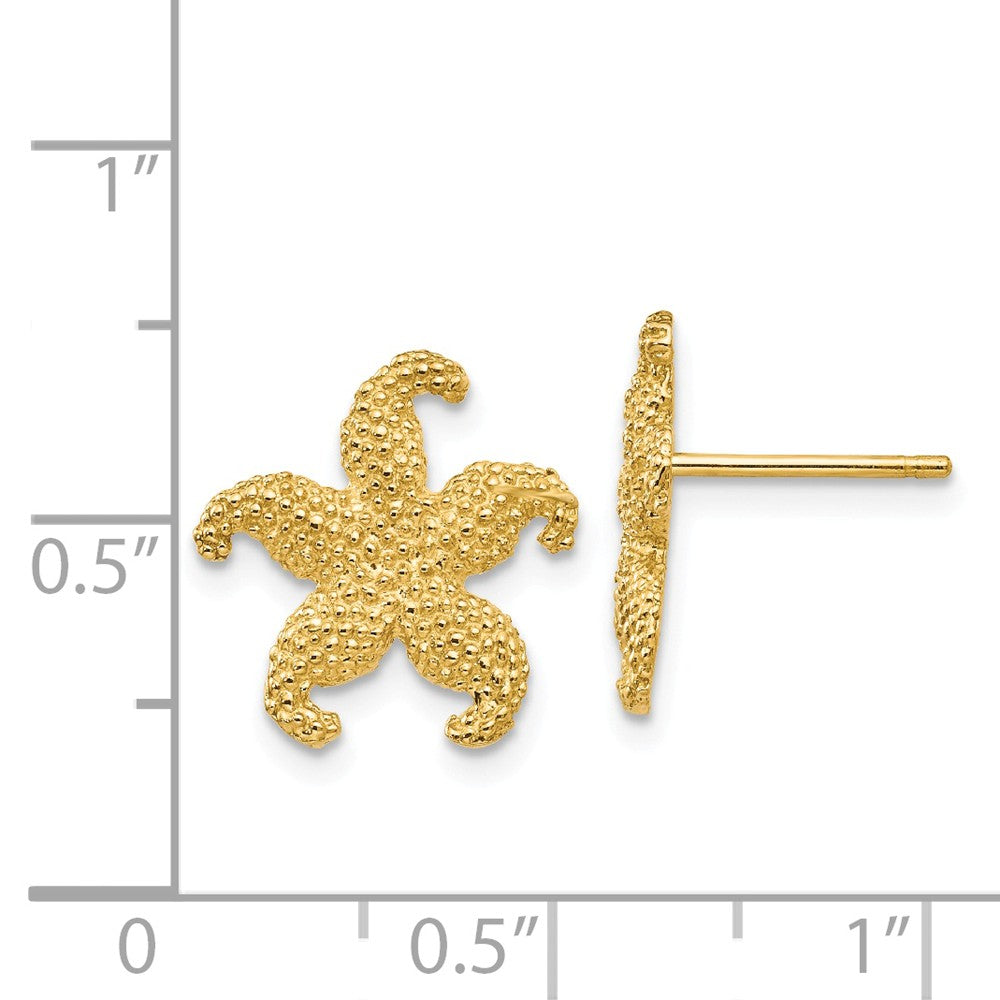 Alternate view of the 13mm Textured Starfish Post Earrings in 14k Yellow Gold by The Black Bow Jewelry Co.