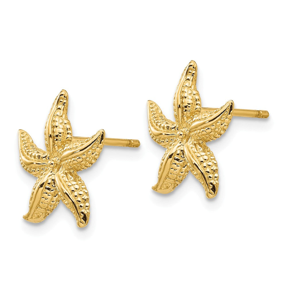 Alternate view of the 13mm Polished Textured Starfish Post Earrings in 14k Yellow Gold by The Black Bow Jewelry Co.