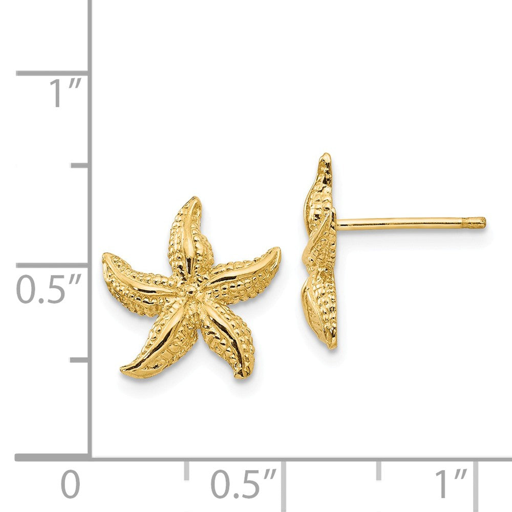 Alternate view of the 13mm Polished Textured Starfish Post Earrings in 14k Yellow Gold by The Black Bow Jewelry Co.