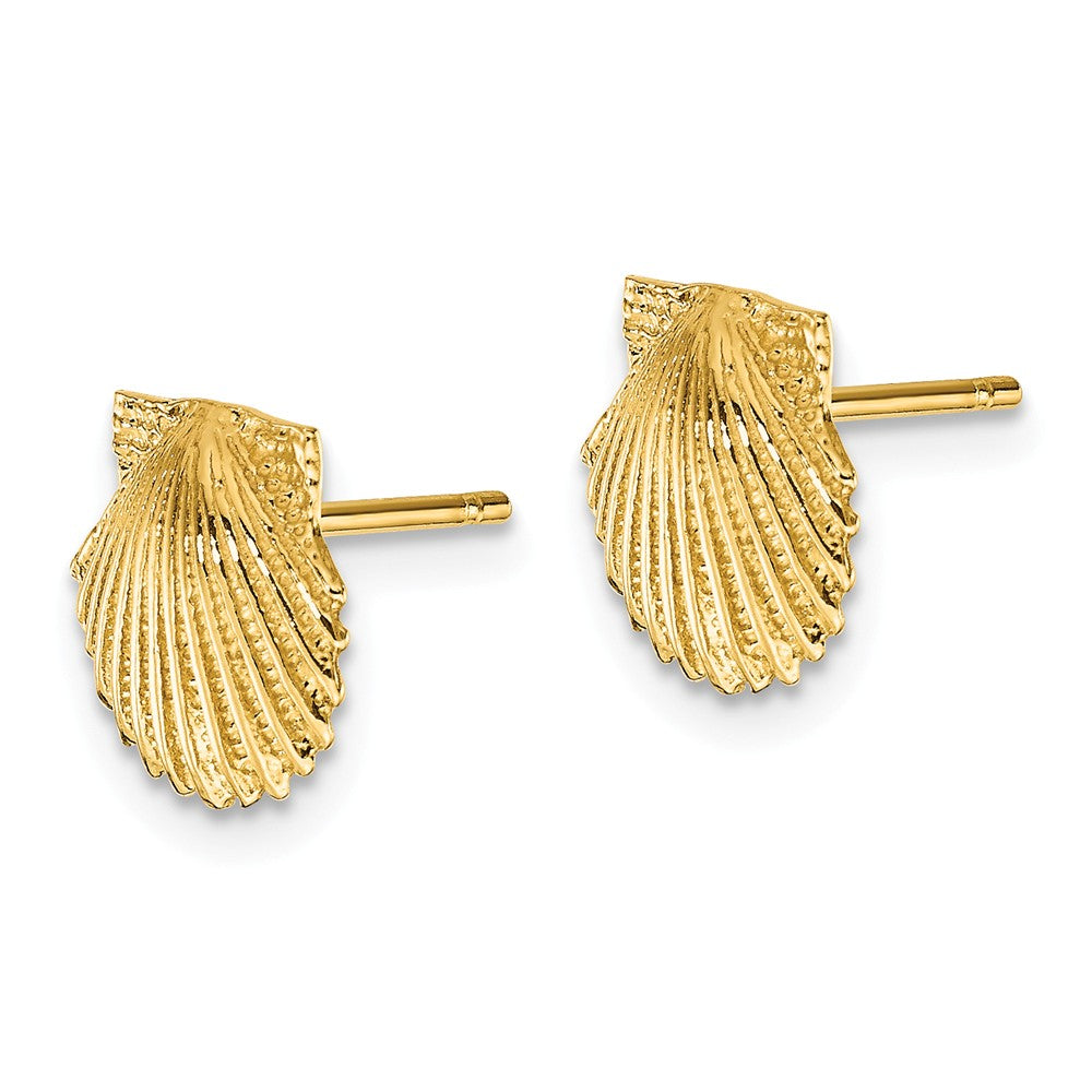 Alternate view of the 9mm Scalloped Seashell Post Earrings in 14k Yellow Gold by The Black Bow Jewelry Co.