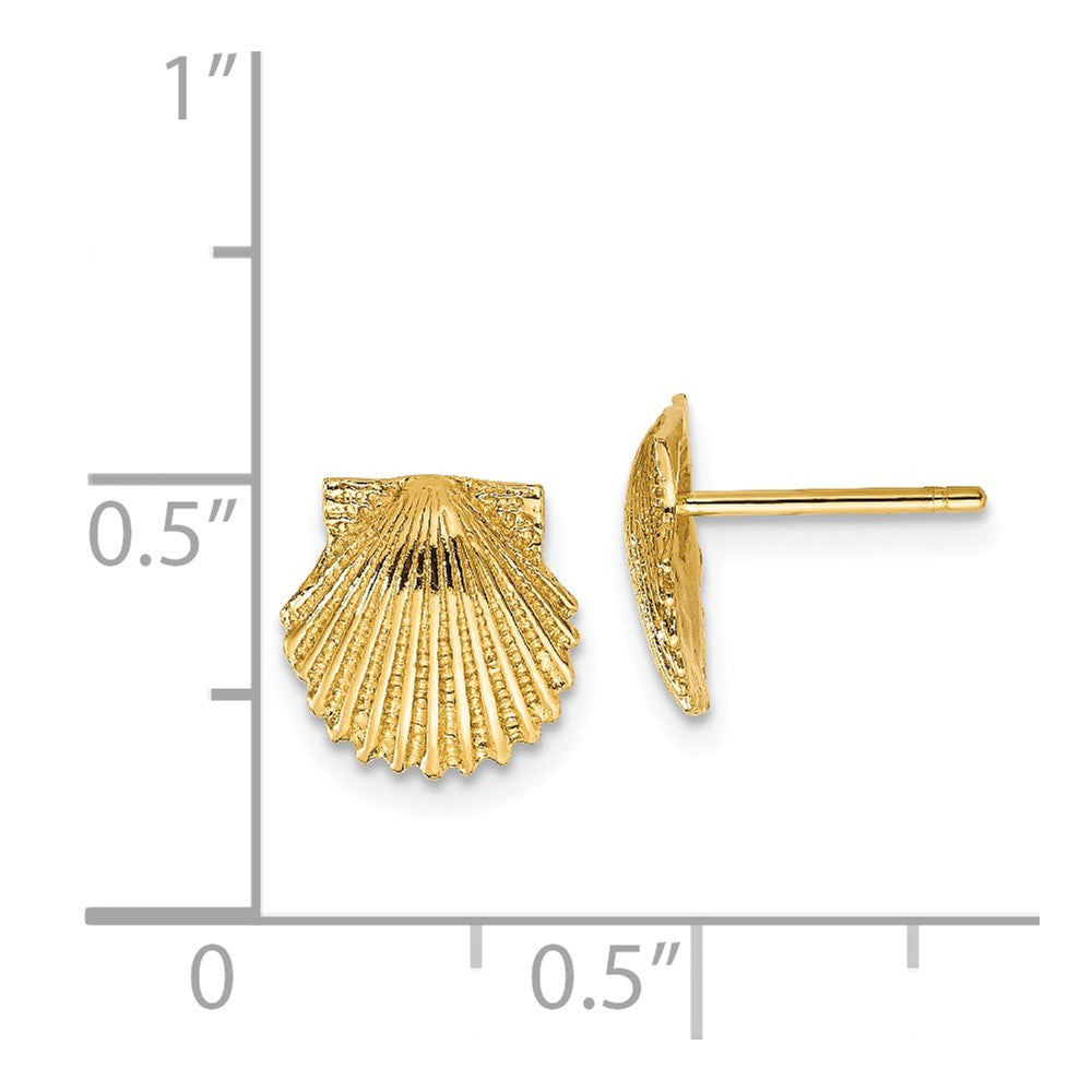 Alternate view of the 9mm Scalloped Seashell Post Earrings in 14k Yellow Gold by The Black Bow Jewelry Co.