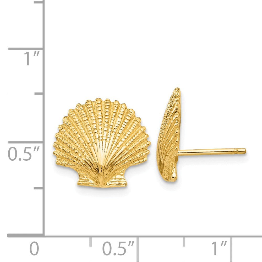 Alternate view of the 13mm Scalloped Shell Post Earrings in 14k Yellow Gold by The Black Bow Jewelry Co.