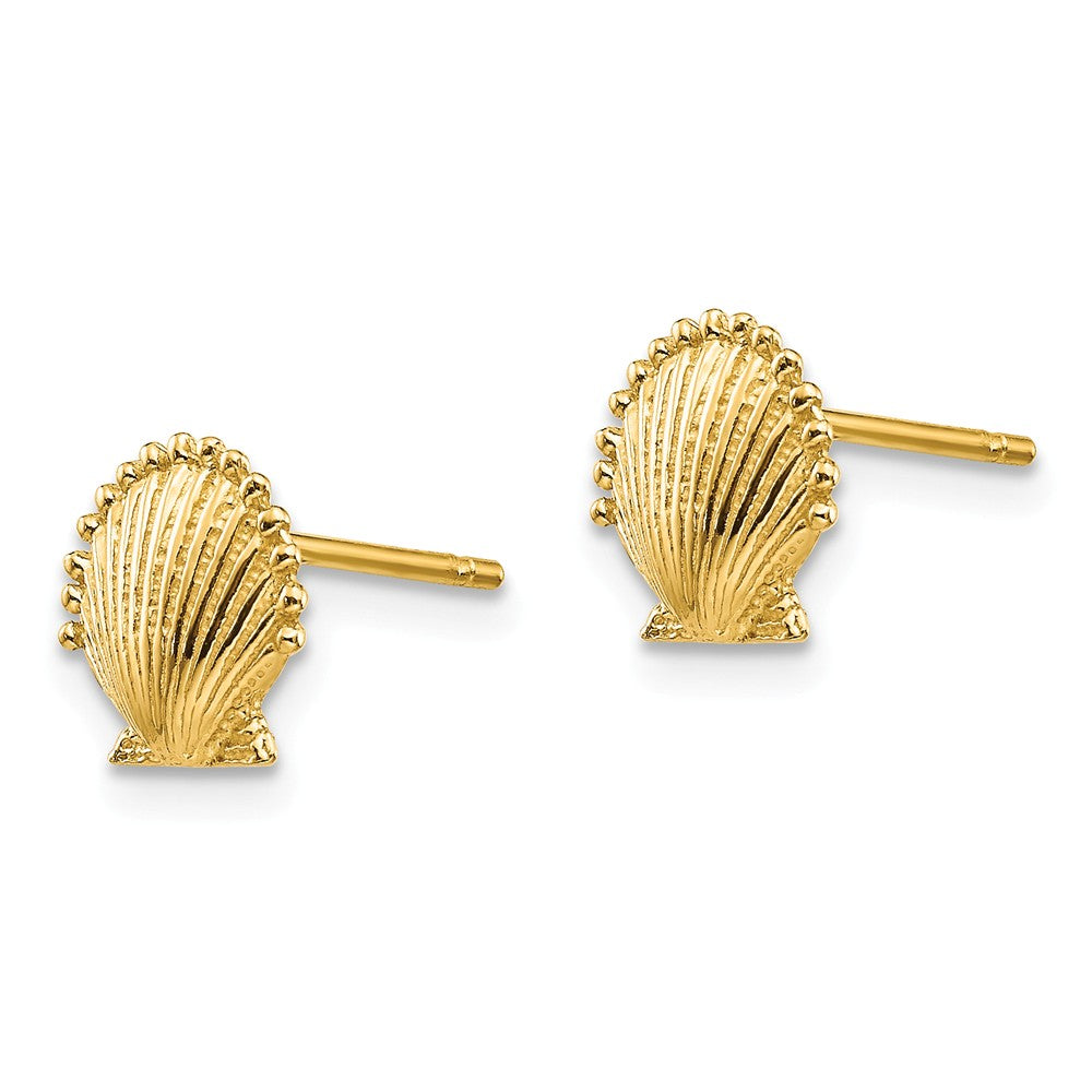 Alternate view of the 8mm Scalloped Shell Post Earrings in 14k Yellow Gold by The Black Bow Jewelry Co.