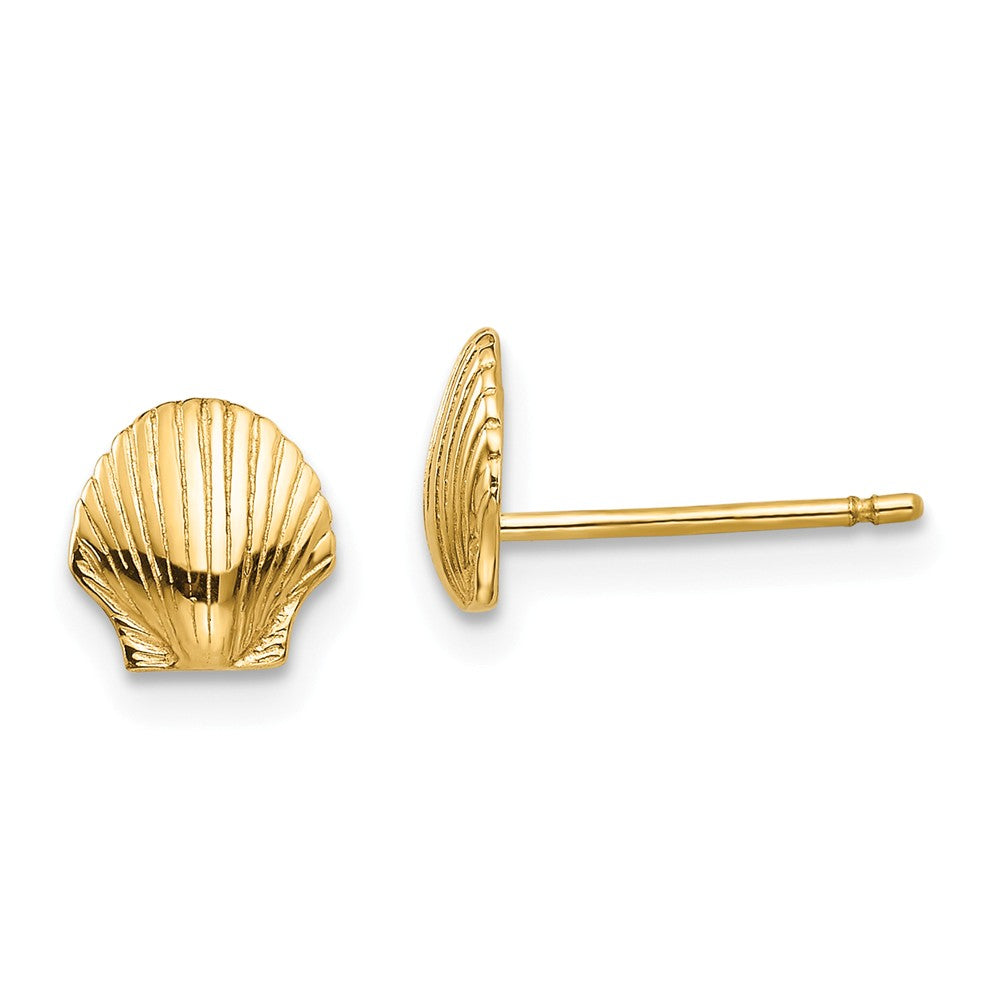 Buy Melorra 18k Gold Classy Shells Earrings for Women Online At Best Price  @ Tata CLiQ
