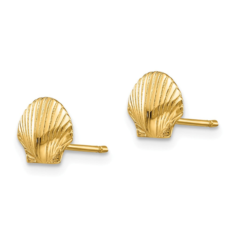 Alternate view of the 7mm Scalloped Shell Post Earrings in 14k Yellow Gold by The Black Bow Jewelry Co.
