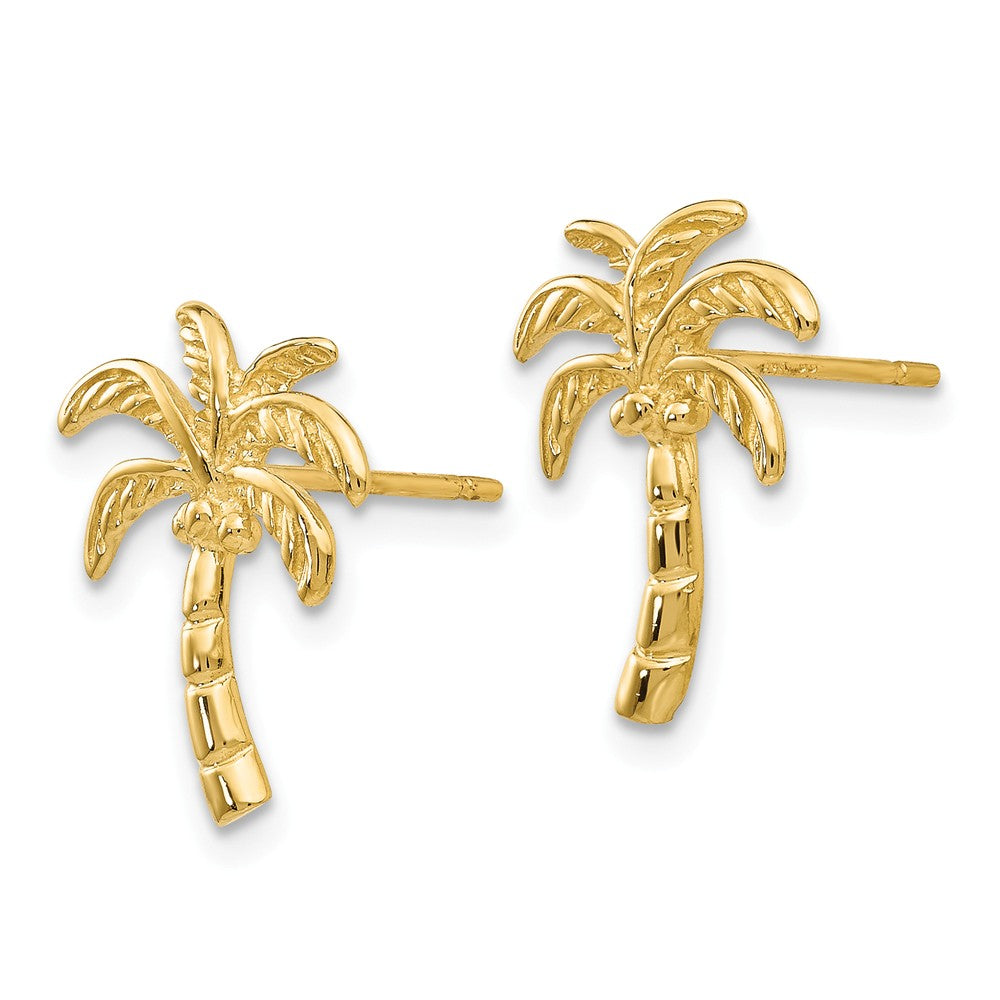 Alternate view of the Coconut Palm Tree Post Earrings in 14k Yellow Gold by The Black Bow Jewelry Co.