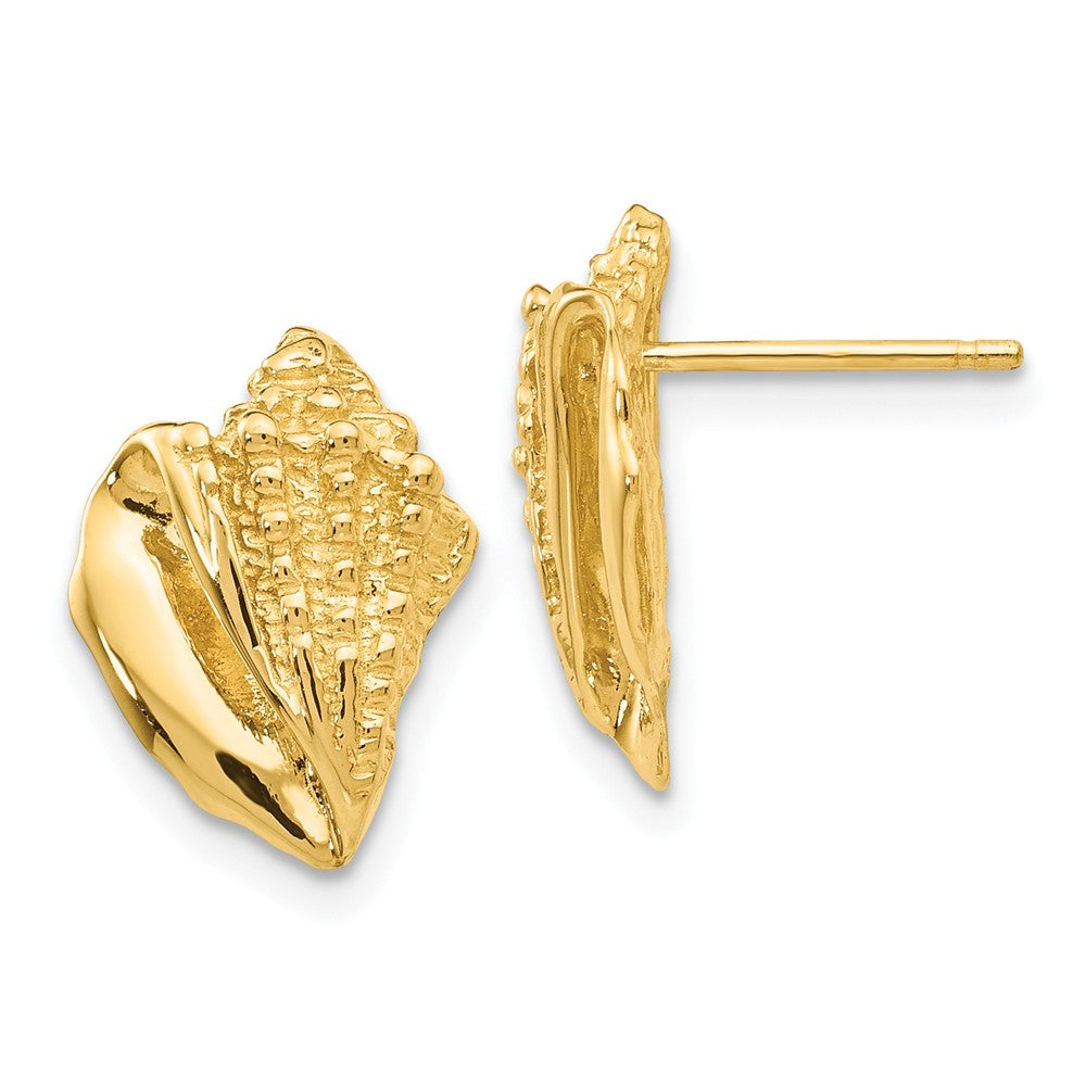 Textured Conch Shell Post Earrings in 14k Yellow Gold, Item E10894 by The Black Bow Jewelry Co.
