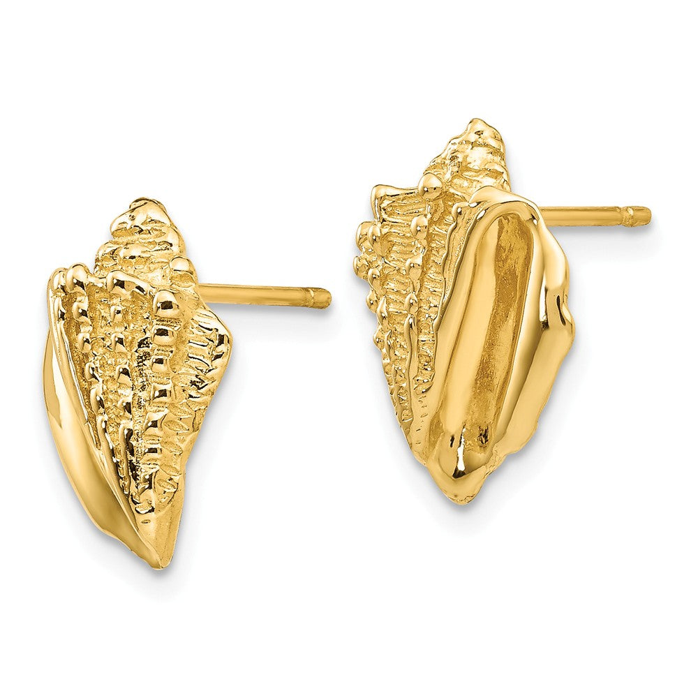 Alternate view of the Textured Conch Shell Post Earrings in 14k Yellow Gold by The Black Bow Jewelry Co.