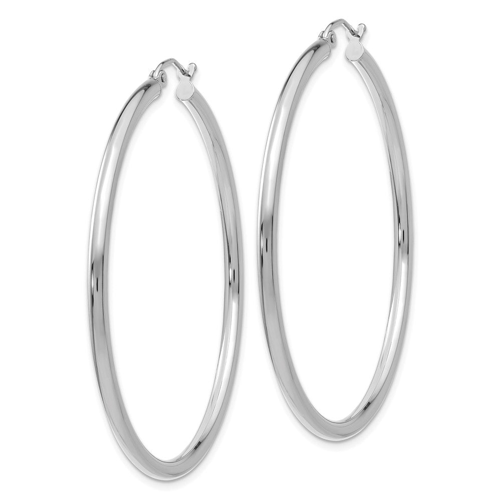 Alternate view of the 2.5mm x 50mm 14k White Gold Classic Round Hoop Earrings by The Black Bow Jewelry Co.