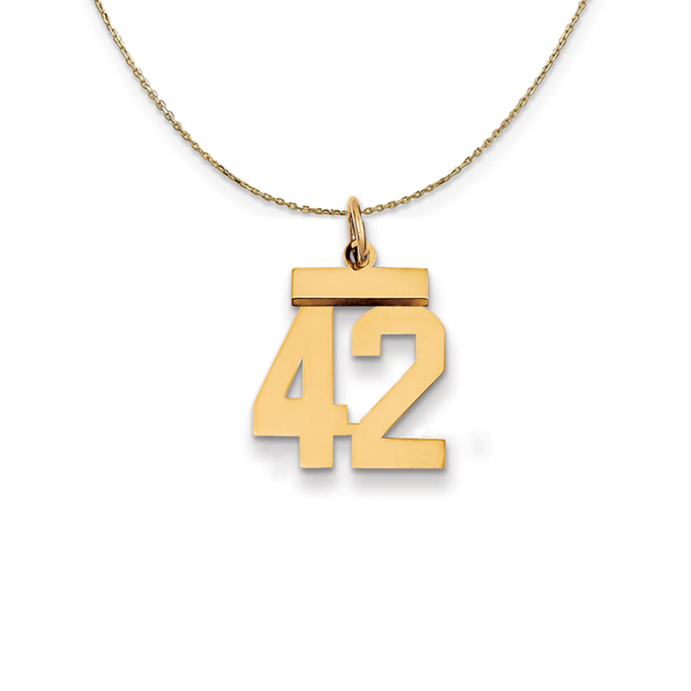 14k Yellow Gold, Athletic, Sm Polished Number 42 Necklace, Item N19712 by The Black Bow Jewelry Co.