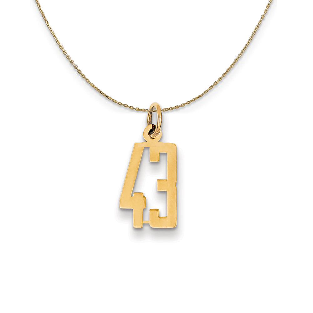 14k Yellow Gold, Alumni Small Elongated Number 43 Necklace, Item N24674 by The Black Bow Jewelry Co.