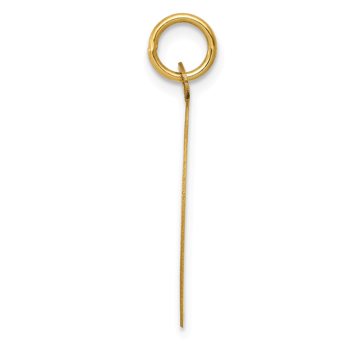 Alternate view of the 14k Yellow Gold Las Vegas Nevada Disk Charm by The Black Bow Jewelry Co.