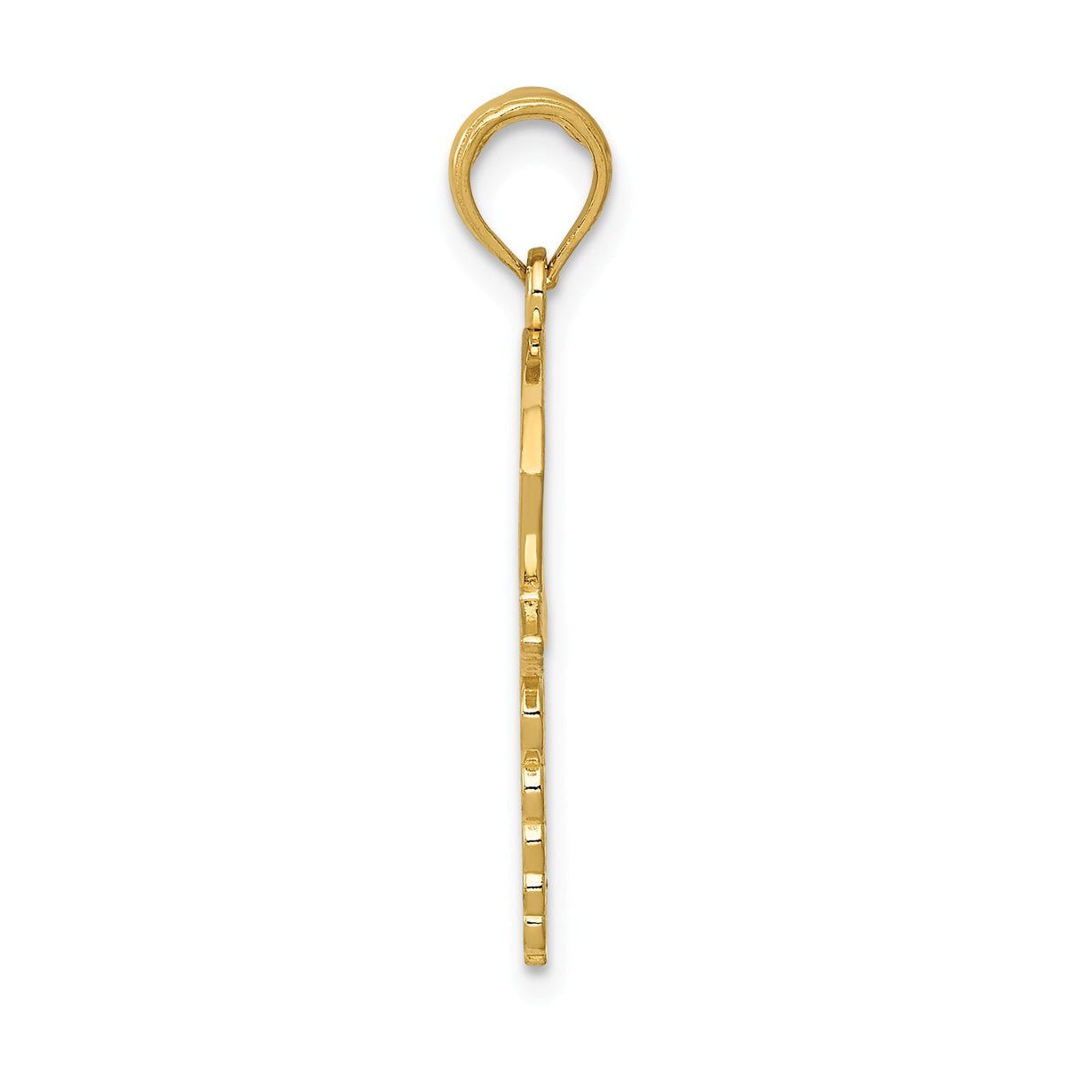 Alternate view of the 14k Yellow Gold Medical Caduceus with Nurses Cap Pendant by The Black Bow Jewelry Co.