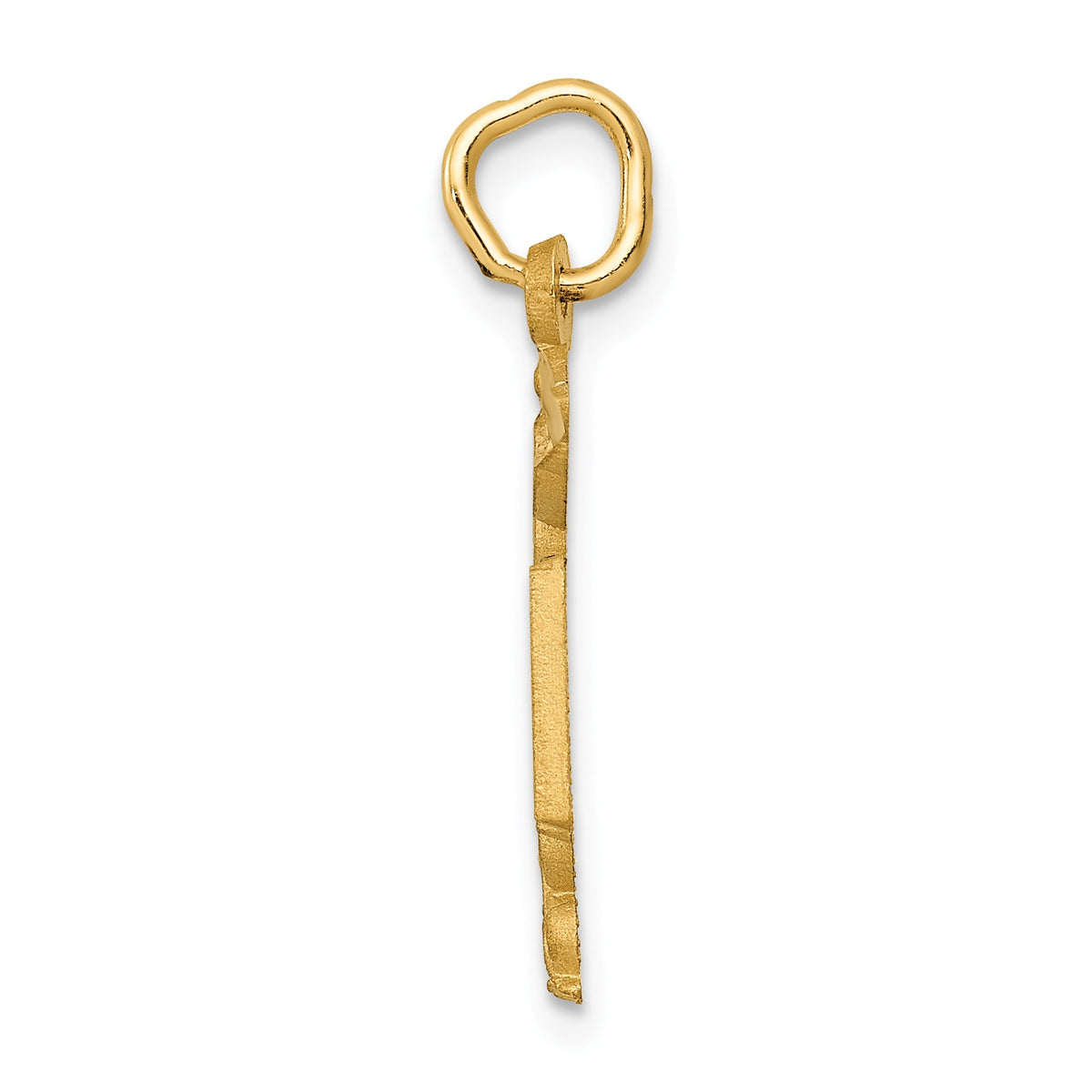 Alternate view of the 14k Yellow Gold Diamond Cut RN Charm by The Black Bow Jewelry Co.