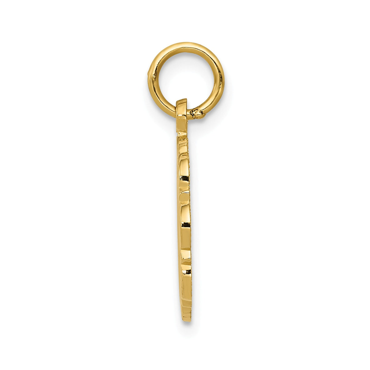 Alternate view of the 14k Yellow Gold Registered Nurse Disk Charm, 14mm by The Black Bow Jewelry Co.