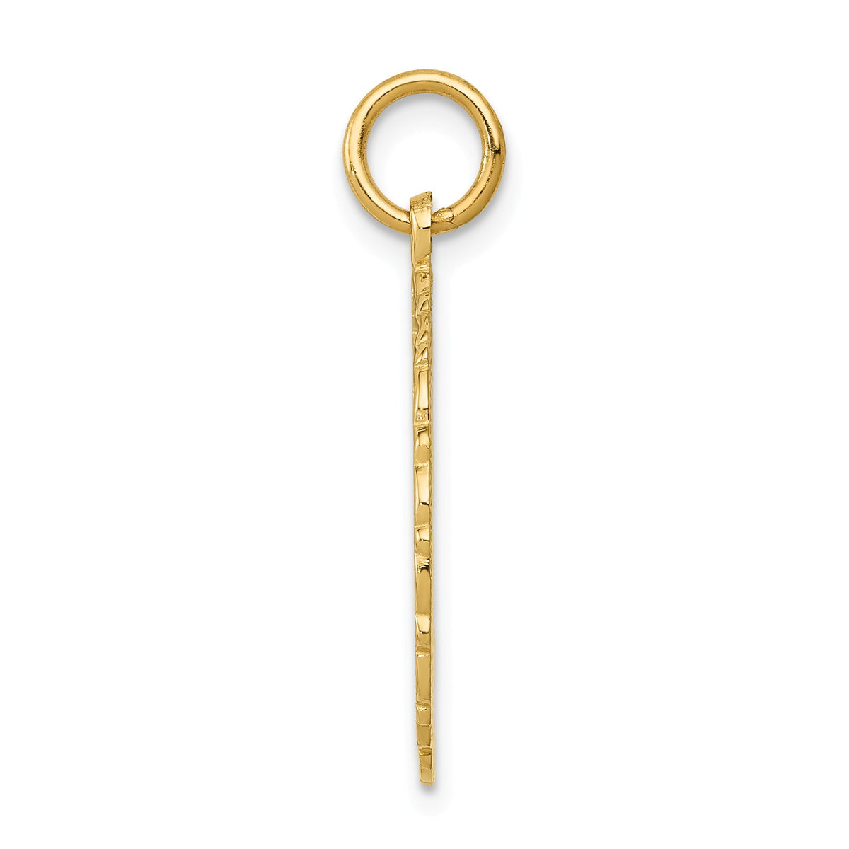Alternate view of the 14k Yellow Gold Registered Nurse Disk Charm, 18mm by The Black Bow Jewelry Co.