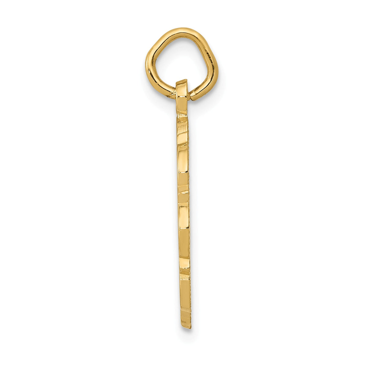 Alternate view of the 14k Yellow Gold Registered Nurse Disk Charm, 16mm by The Black Bow Jewelry Co.