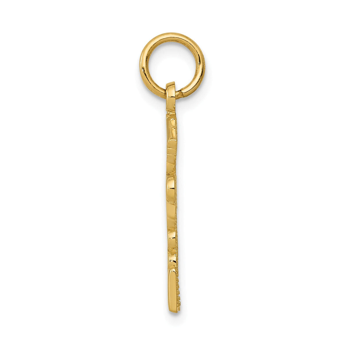 Alternate view of the 14k Yellow Gold RPN Caduceus Charm by The Black Bow Jewelry Co.