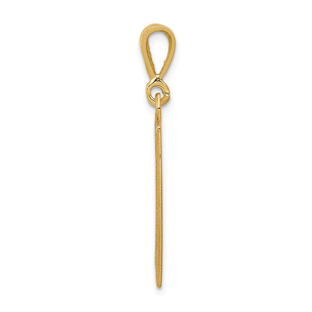 Alternate view of the 14k Yellow Gold Caduceus Rectangular Pendant by The Black Bow Jewelry Co.