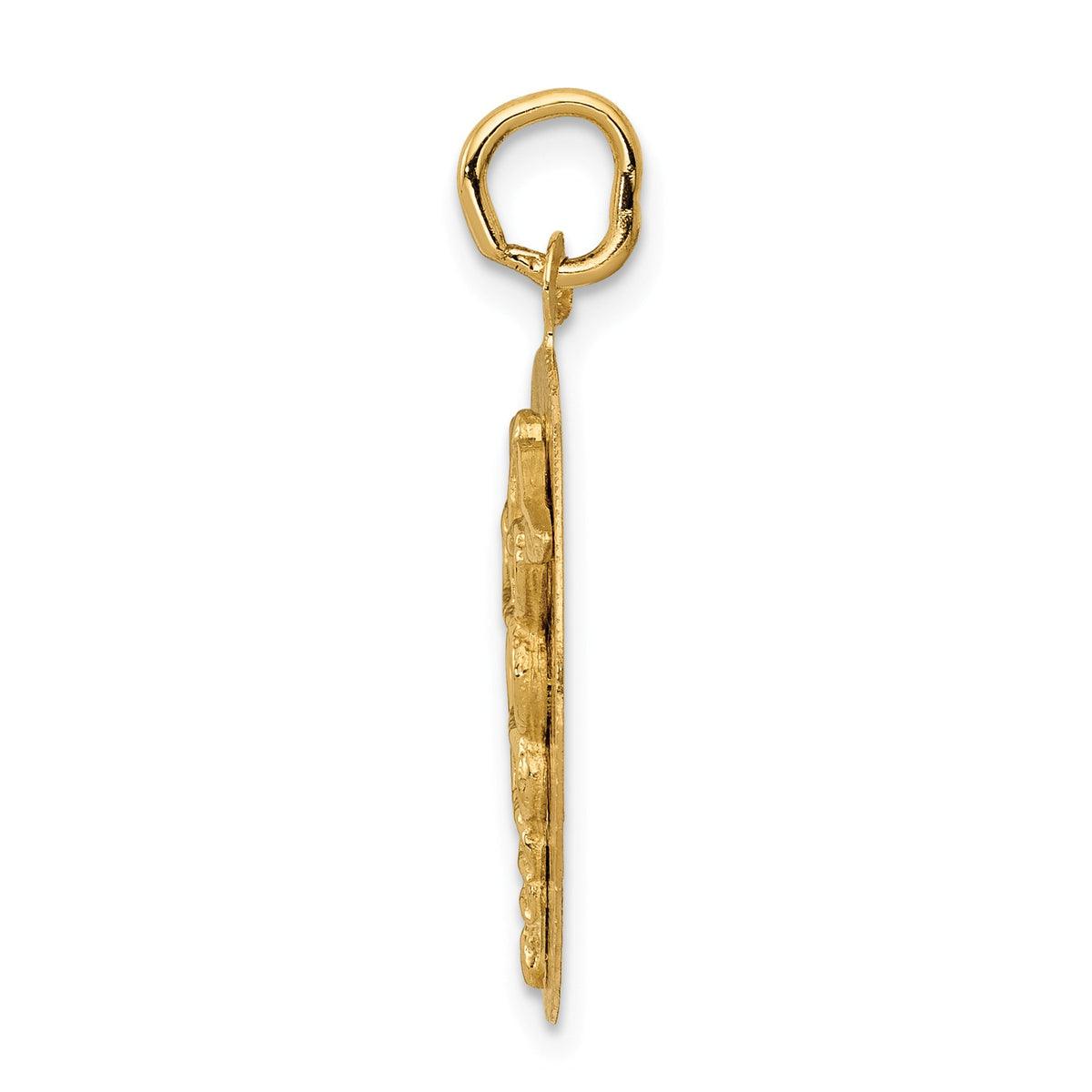 Alternate view of the 14k Yellow Gold 20mm Caduceus Disk Pendant by The Black Bow Jewelry Co.
