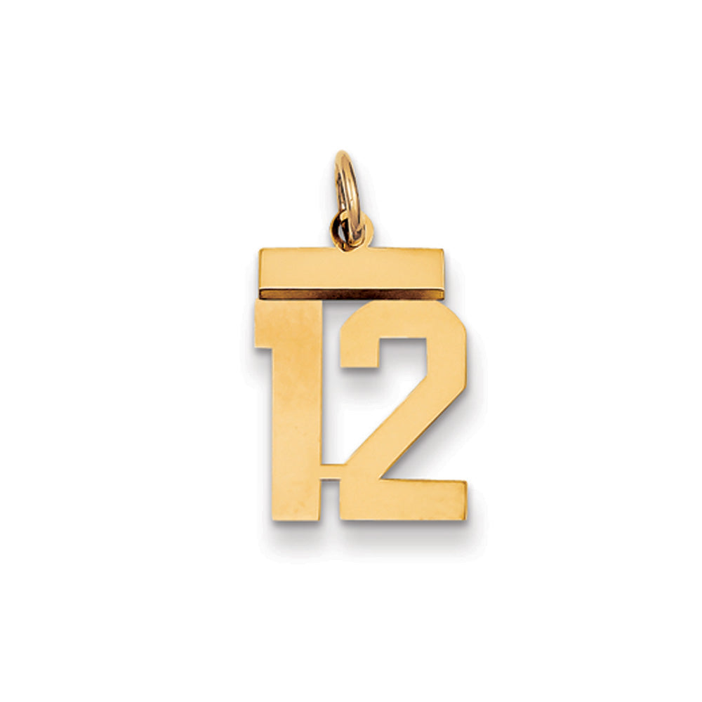 14k Yellow Gold, Athletic Collection, Small Polished Number 12 Pendant, Item P10390-12 by The Black Bow Jewelry Co.