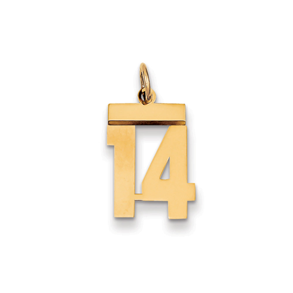 14k Yellow Gold, Athletic Collection, Small Polished Number 14 Pendant, Item P10390-14 by The Black Bow Jewelry Co.