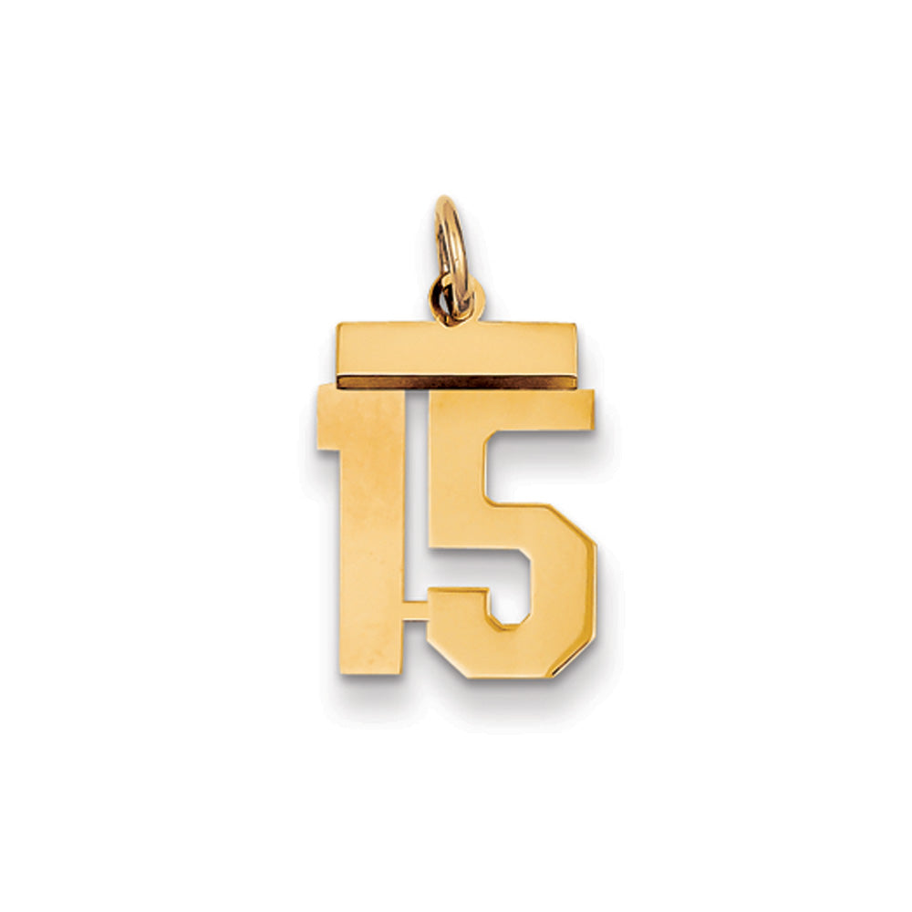 14k Yellow Gold, Athletic Collection, Small Polished Number 15 Pendant, Item P10390-15 by The Black Bow Jewelry Co.