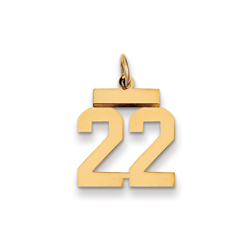 14k Yellow Gold, Athletic Collection, Small Polished Number 22 Pendant, Item P10390-22 by The Black Bow Jewelry Co.