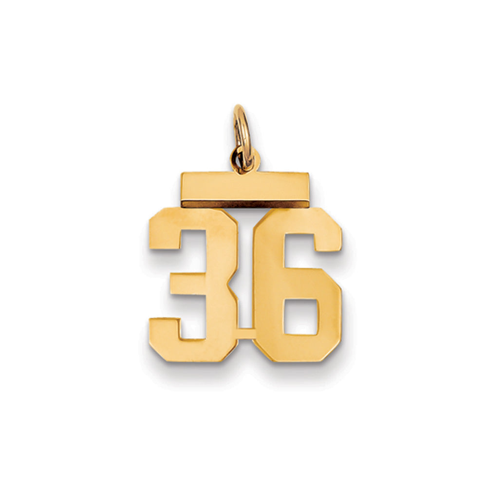 14k Yellow Gold, Athletic Collection, Small Polished Number 36 Pendant, Item P10390-36 by The Black Bow Jewelry Co.