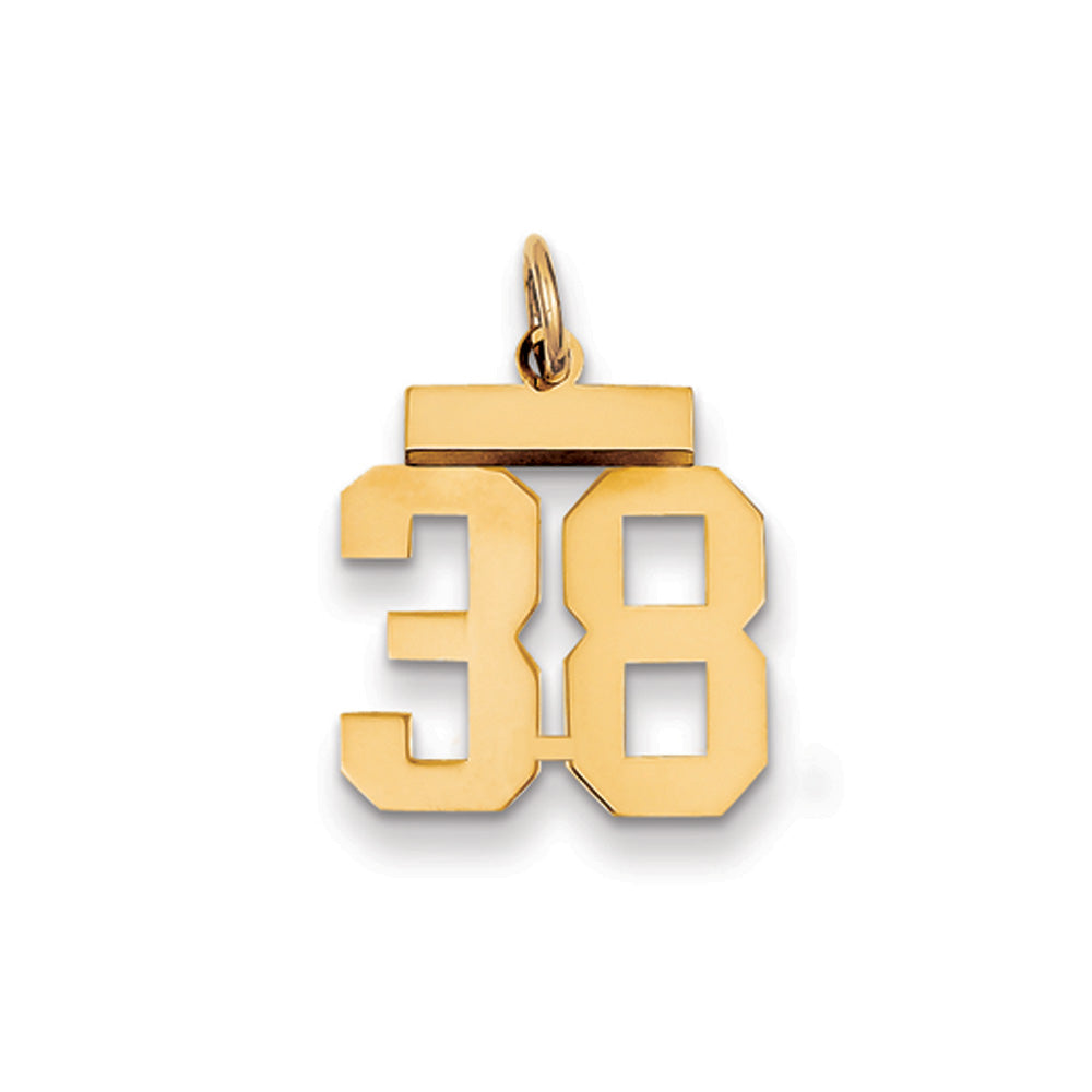 14k Yellow Gold, Athletic Collection, Small Polished Number 38 Pendant, Item P10390-38 by The Black Bow Jewelry Co.