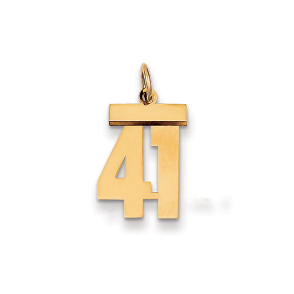 14k Yellow Gold, Athletic Collection, Small Polished Number 41 Pendant, Item P10390-41 by The Black Bow Jewelry Co.