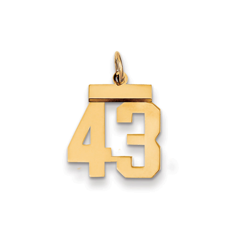 14k Yellow Gold, Athletic Collection, Small Polished Number 43 Pendant, Item P10390-43 by The Black Bow Jewelry Co.
